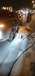 Cứu hộ lốp linh đàm xe con, xe tải Hà Nội 24/7 luôn túc trực làm lốp lưu động 24H